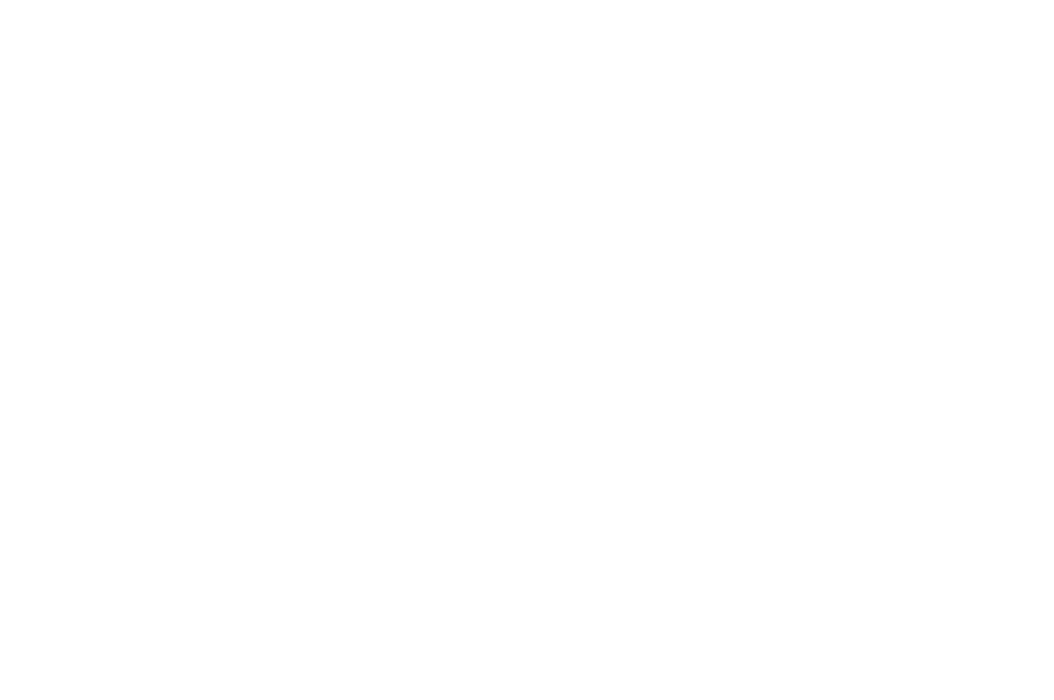 AlpenPuls Logo